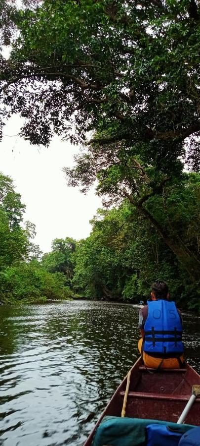 Belebar Studio Room Taman Negara Pahang Malaysia クアラ・ターハン エクステリア 写真