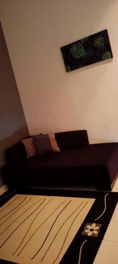 Belebar Studio Room Taman Negara Pahang Malaysia クアラ・ターハン エクステリア 写真